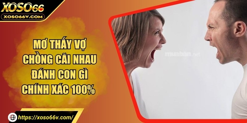 Mơ thấy vợ chồng cãi nhau đánh con gì chính xác 100%